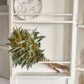 Kredens Buffet Cabinet South Hampton