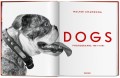 Album Dogs. Walter Chandoha. Photographs 1941–1991
