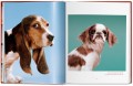 Album Dogs. Walter Chandoha. Photographs 1941–1991