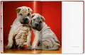 Album Dogs. Walter Chandoha. Photographs 1941–1991