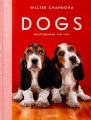 Album Dogs. Walter Chandoha. Photographs 1941–1991