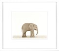 Obrazy zestaw Animal Prints I 35 x 40