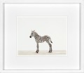 Obrazy zestaw Animal Prints II 35 x 40