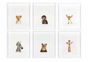 Obrazy zestaw Animal Prints III  35 x 40 