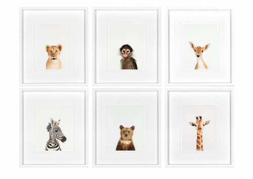 Obrazy zestaw Animal Prints III 35 x 40