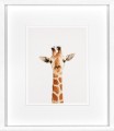 Obrazy zestaw Animal Prints III 35 x 40