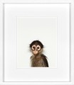 Obrazy zestaw Animal Prints III 35 x 40
