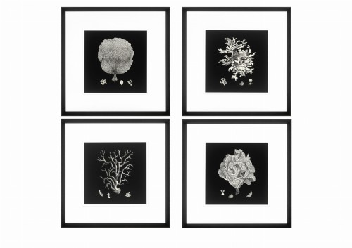 Obraz Black and Tan Corals (Set of 4)