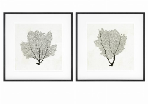 Obraz Sea Fan Sketches (Set of 2)