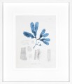 Obraz Blue Marine Algae