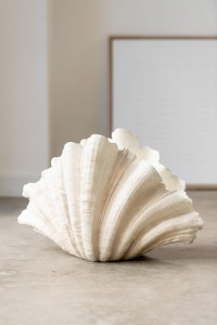 Waza Clam Shell Polyresin Off White