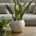 Doniczka Planter Shell