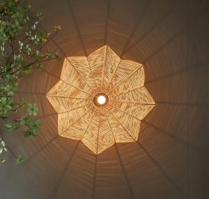 Lampa sufitowa/ kinkiet Zizi Ceiling Lamp
