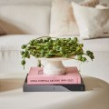 Patera Louet Cake Stand