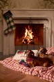 Poduszka dekoracyjna Dog sleigh organic cotton velvet pillow 50x30