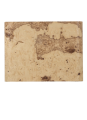 Stolik kawowy SERENGETI OLIVE ASH