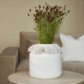 Wazon Flourishing Vase Low