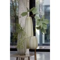 Wazon BRADLEY glass, olive green